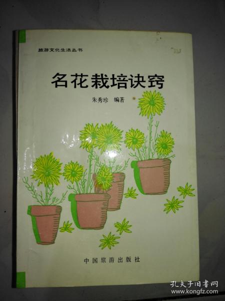 孔夫子旧书网的西域之梦 文化传播中的数据守望与美学思考