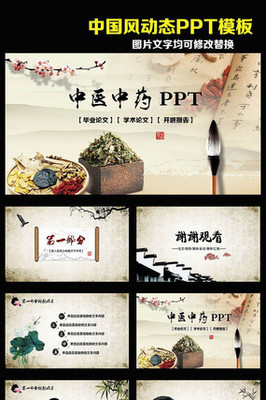 中国传统文化中医中药传播动态PPT模板 文化传播的载体与创新